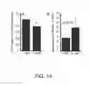 Fig. 15 - Diagnostic assays and methods of treating pneumonia, sepsis and systemic inflammatory response syndrome