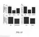 Fig. 22 - Diagnostic assays and methods of treating pneumonia, sepsis and systemic inflammatory response syndrome