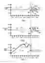 Fig. 02 - Similarity detection of abnormal waveforms using PMU measurement