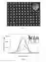 Fig. 02 - Ferromagnetic particles as ultra-sensitive non-linear response labels for magnetic particles imaging (MPI) and sensing applications