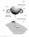 Fig. 01 - Floating base vector sensor