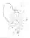 Fig. 06 - Head-mounted image display device and face mask unit