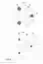Fig. 09 - Light source apparatus, image display apparatus, and optical unit
