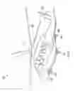 Fig. 02 - ROTORCRAFT MULTIPLE PROFILE CAT-A GUIDANCE