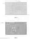 Fig. 06 - Methods and apparatus for vision enhancement