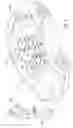 Fig. 04 - Object detection