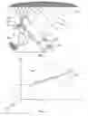 Fig. 02 - Computer graphics presentation systems and methods