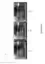 Fig. 06 - METHOD AND APPARATUS FOR RECOGNIZING COMMUNICATIONS BASED ON BIOLOGICAL SIGNALS