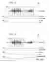 Fig. 05 - System and method for enhancing speech activity detection using facial feature detection