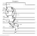 Fig. 01 - Dummy bitline circuitry