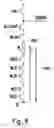 Fig. 05 - Flash memory storage apparatus and reading method thereof