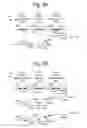 Fig. 11 - Reducing hot electron injection type of read disturb in 3D memory device having connected source-end select gates