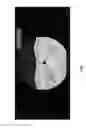 Fig. 13 - Medical scan annotator system