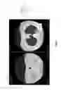 Fig. 18 - Medical scan annotator system