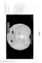 Fig. 22 - Medical scan annotator system