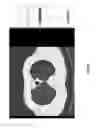 Fig. 41 - Medical scan annotator system