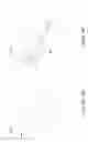 Fig. 25 - Reducing the coulombic barrier to interacting reactants