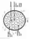 Fig. 04 - Nuclear fuel containing recycled and depleted uranium, and nuclear fuel bundle and nuclear reactor comprising same