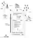 Fig. 14 - Network termination and methods for use therewith