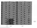 Fig. 01 - Controlling adaptive reference signal patterns