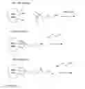 Fig. 13 - Anti-microbial particles and methods of use thereof