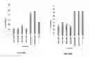 Fig. 25 - Combined administration of a penetration agent and a sulfur containing compound to plants
