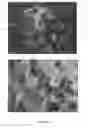 Fig. 136 - Continuous methods for treating liquids and manufacturing certain constituents (e.g., nanoparticles) in liquids, apparatuses and nanoparticles and nanoparticle/liquid solution(s) resulting therefrom