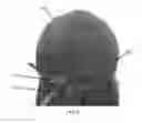Fig. 06 - WIG APPARATUS AND METHOD OF MANUFACTURING SAME
