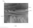 Fig. 08 - WIG APPARATUS AND METHOD OF MANUFACTURING SAME