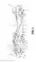 Fig. 02 - ARTICLE OF FOOTWEAR HAVING GROUND SURFACE MATERIAL ACCUMULATION PREVENTION STRUCTURE