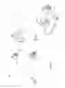 Fig. 07 - Vacuum cleaner