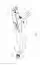 Fig. 02 - Atraumatic stapling head features for circular surgical stapler