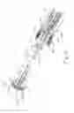 Fig. 07 - Atraumatic stapling head features for circular surgical stapler