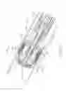 Fig. 09 - Atraumatic stapling head features for circular surgical stapler