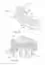 Fig. 22 - Atraumatic stapling head features for circular surgical stapler