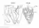 Fig. 04 - CARDIAC MAPPING AND NAVIGATION FOR TRANSCATHETER PROCEDURES