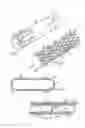 Fig. 02 - ENDOLUMINAL DEVICE FOR IN VIVO DELIVERY OF BIOACTIVE AGENTS
