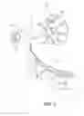 Fig. 04 - Ostomy device, apparatus, and system