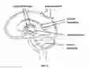 Fig. 02 - Method of Preventing Traumatic Brain Injury (TBI)
