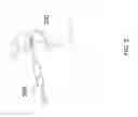 Fig. 06 - METHOD OF LUBRICATING AN ORAL APPLIANCE