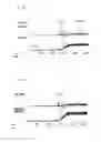 Fig. 09 - Brain derived PPARα ligands