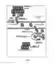 Fig. 02 - Chemotherapeutic Methods