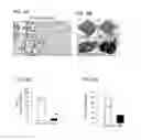 Fig. 07 - Chemotherapeutic Methods