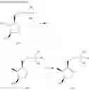 Fig. 137 - 5-phenylazaindole derivative having AMPK-activating activity