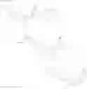 Fig. 99 - 5-phenylazaindole derivative having AMPK-activating activity