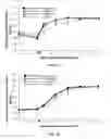 Fig. 09 - Chitosan hydrogels for accelerating involution and preventing infection of the mammary gland at drying-off