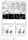 Fig. 05 - 3-D COLLAGEN SCAFFOLD-GENERATED EXOSOMES AND USES THEREOF