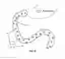 Fig. 11 - System and method for affecting intestinal microbial flora