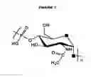 Fig. 02 - Meningococcus serogroup X conjugate