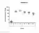 Fig. 22 - Meningococcus serogroup X conjugate